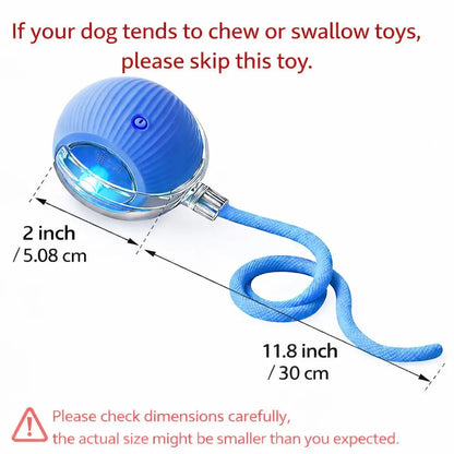Mizusu Interactive Rolling Ball Cat & Dog Toy with 2 Extra Tails