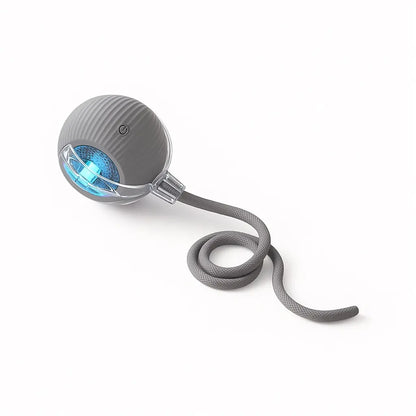 Mizusu Interactive Rolling Ball Cat & Dog Toy with 2 Extra Tails