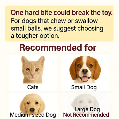 Mizusu Interactive Rolling Ball Cat & Dog Toy with 2 Extra Tails