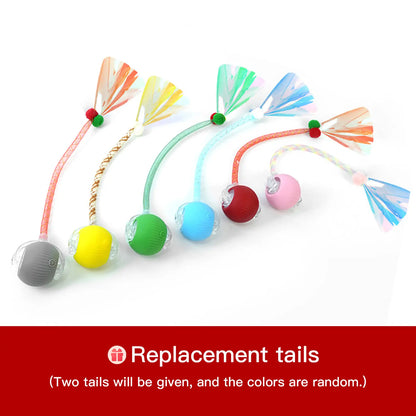 Mizusu Interactive Rolling Ball Cat & Dog Toy with 2 Extra Tails