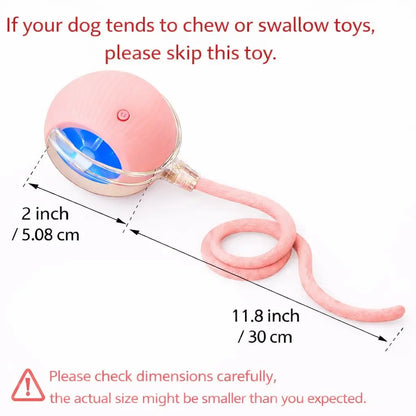 Mizusu Interactive Rolling Ball Cat & Dog Toy with 2 Extra Tails