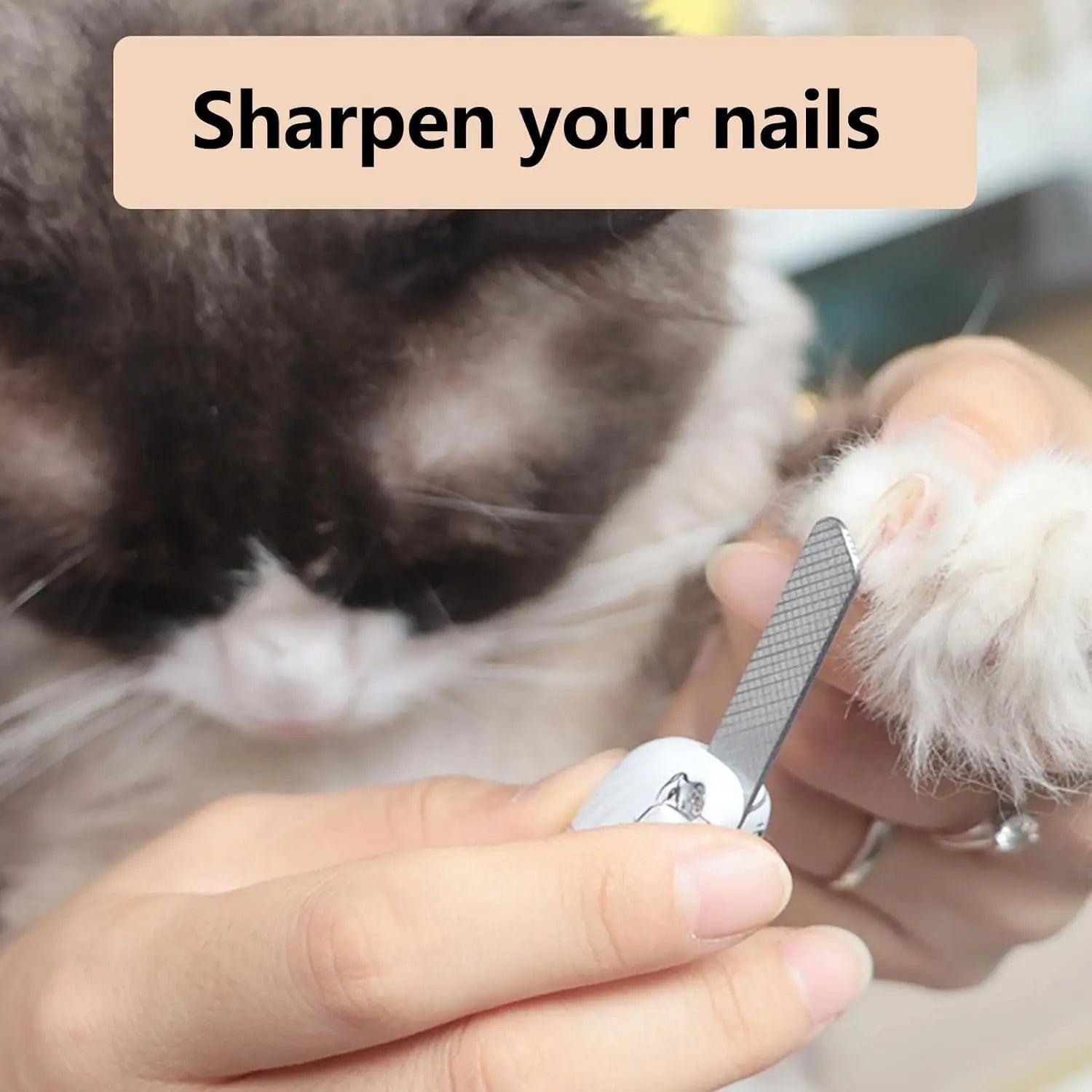 2-in-1 Pet Nail Clipper with LED Light for Enhanced Visibility